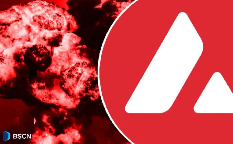 أفالانش تشهد نموًا هائلاً في نشاط السلسلة