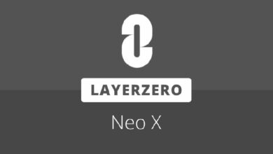 إطلاق شبكة Neo X على منصة LayerZero للربط مع أكثر من 170 سلسلة