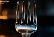 شوكة بيتكوين الصلبة في أغسطس قد تفوق كل الشوكات السابقة مجتمعة — إليك السبب