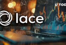 محفظة كاردانو تُصدر تحذيرًا من الاحتيال