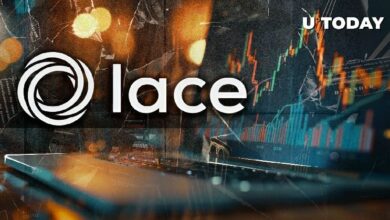 محفظة كاردانو تُصدر تحذيرًا من الاحتيال