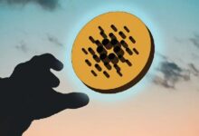 "وايز ريتنجز" تمنح كاردانو أعلى درجة تقنية رغم أدائها السوقي المتعثر