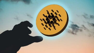 "وايز ريتنجز" تمنح كاردانو أعلى درجة تقنية رغم أدائها السوقي المتعثر