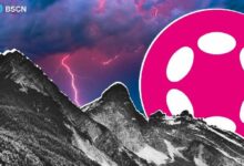 هل كان مارس 2026 أهم شهر في تاريخ بولكادوت؟