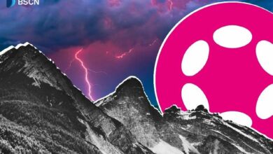 هل كان مارس 2026 أهم شهر في تاريخ بولكادوت؟