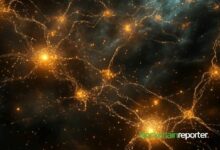 SodaBot تدمج Tilted لتحويل بيانات المستخدمين إلى إشارات تداول مدعومة بالذكاء الاصطناعي