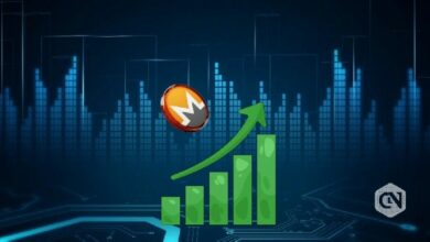 مونيرو يرتفع بنسبة 5% بعد تدقيق مجتمعي قوي لـ MoneroRun
