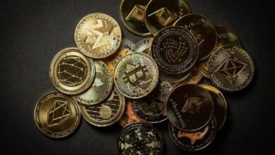 ملياردير العملات الرقمية يهاجم هيكل "وورلد ليبرتي فاينانشال" المرتبطة بعائلة ترامب: فرد واحد يمكنه تجميد أصول أي حامل عملات