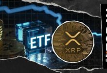 صفر دولار: استثمارات صناديق XRP المتداولة تبلغ مستوى قياسيًا مُنذرة (وهذه ليست مزحة)