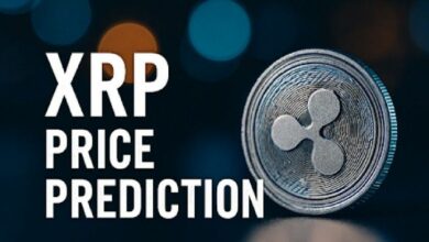 توقع سعر XRP 2026: بيتوايز يرجح إمكانية تحقيق مستويات قياسية جديدة خلال 12 إلى 18 شهرًا