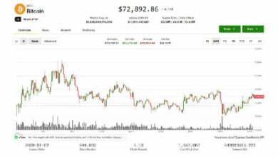 البيتكوين والسوق تتجه نحو الاستقرار مع بدء المفاوضات الأمريكية الإيرانية