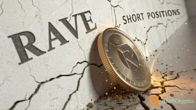ارتفاع صاروخي لـ RAVE بنسبة 47%: هل يستهدف السعر محو مستوى 29 دولارًا؟
