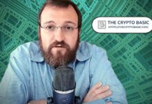 مؤسس كاردانو: "نايت" من أكثر الأصول المشفرة تداولًا ويلمح لعام حافل بـ "ميدنايت"