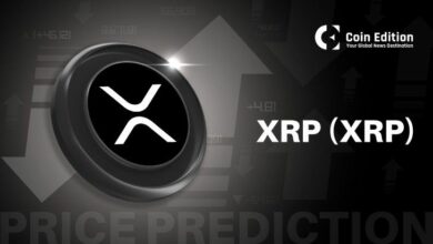 توقعات سعر XRP: كبير التقنيين في Ripple يخبر المستثمرين بأنهم يخدعون أنفسهم
