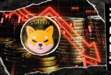 شيبا إينو تحافظ على منطقة 0.000006 دولار رغم انخفاض المراكب المفتوحة 7%