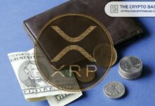 محلل: عائدات XLS-66 ليست "دخلًا سلبيًا سهلًا"