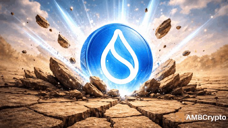 SUI تستهدف دولارًا بعد صعود 11%: هل تستطيع 12.3 مليون معاملة دعم النمو؟