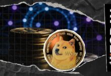 مهندس دوجكوين يعلق على تجربة معاملات مقاومة للكم في شبكة العملة الرقمية