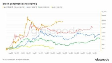 **بيتكوين يتجاوز منتصف دورة التخفيض بينما تتباطأ مكاسب السعر مقارنة بالدورات السابقة**