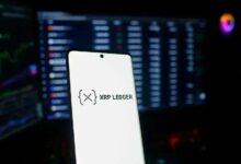 انتصار جديد لـ XRP Ledger: محفظة LOBSTR تنضم بأكثر من 1.3 مليون مستخدم