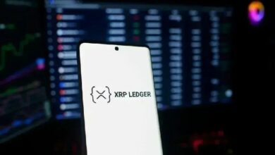 انتصار جديد لـ XRP Ledger: محفظة LOBSTR تنضم بأكثر من 1.3 مليون مستخدم