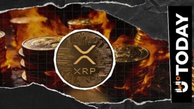 ارتفاع معدل حرق XRP بنسبة 117% يلفت الأنظار