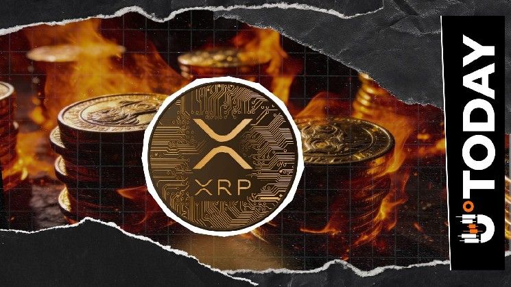 ارتفاع معدل حرق XRP بنسبة 117% يلفت الأنظار