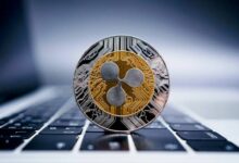 هل سينهار سعر XRP أكثر؟ المستويات الرئيسية التي يجب مراقبتها