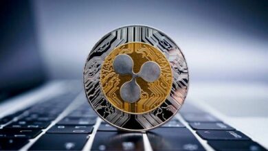 هل سينهار سعر XRP أكثر؟ المستويات الرئيسية التي يجب مراقبتها