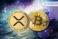خبراء: مخاطر الكم على XRP أقل بكثير من البيتكوين مع تعرض 0.03% فقط من المعروض مقابل 35%