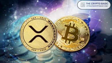 خبراء: مخاطر الكم على XRP أقل بكثير من البيتكوين مع تعرض 0.03% فقط من المعروض مقابل 35%