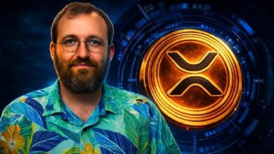 تشارلز هوسكينسون يصف دعم براد جارلينجهاوس ومجتمع XRP لقانون الوضوح بـ"الجنون"