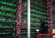 بيت فارمز تستهدف صفر بيتكوين في الميزانية مع تحولها نحو الذكاء الاصطناعي