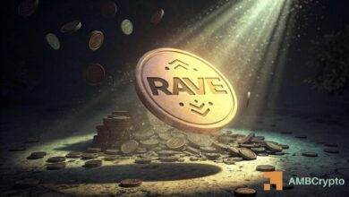 شهدت RAVE ارتفاعًا بنسبة 13.44% لكن حجم التداول يتراجع: هل بدأ الصعود في الانحسار؟