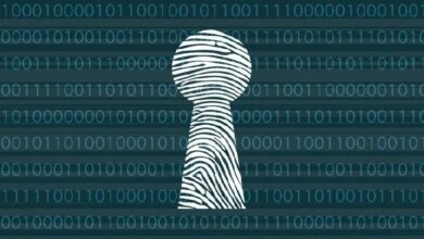 السؤال ليس حول الخصوصية، بل عن نوع الخصوصية