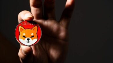 التطورات الأخيرة تكشف أسباب استمرار انهيار سعر شيبا إينو