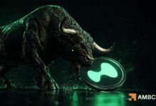 هيبرليكيد – الحيتان ترفع مراكزها الشرائية، فهل يصل سعر HYPE إلى 50 دولارًا؟