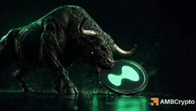 هيبرليكيد – الحيتان ترفع مراكزها الشرائية، فهل يصل سعر HYPE إلى 50 دولارًا؟