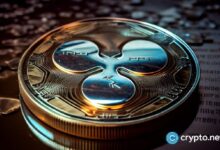 ريبل تحذر مستخدمي XRP بعد ظهور حساب إنستغرام مزيف لرئيسها التنفيذي