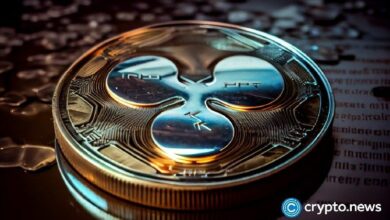 ريبل تحذر مستخدمي XRP بعد ظهور حساب إنستغرام مزيف لرئيسها التنفيذي