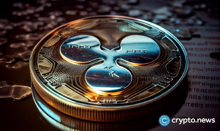 ريبل تحذر مستخدمي XRP بعد ظهور حساب إنستغرام مزيف لرئيسها التنفيذي