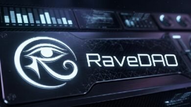تنبيه: اتهامات خطيرة بالتلاعب تحيط بـ RAVE العملة المشفرة الأكثر تداولاً