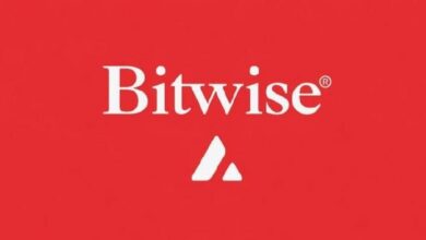 مدير الاستثمار في Bitwise يقدم حجج إطلاق صندوق AVAX الجديد