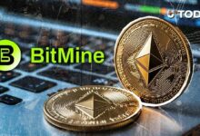 بيتماين تتصدر مراكز إيداع الإيثيريوم بإضافة 340 مليون دولار