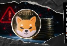 مصير شيبا إينو يتحدد: إغلاق المعروض بعد خطوة مؤسسها ريوشي