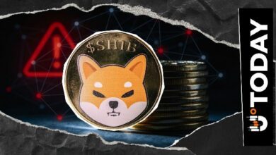 مصير شيبا إينو يتحدد: إغلاق المعروض بعد خطوة مؤسسها ريوشي