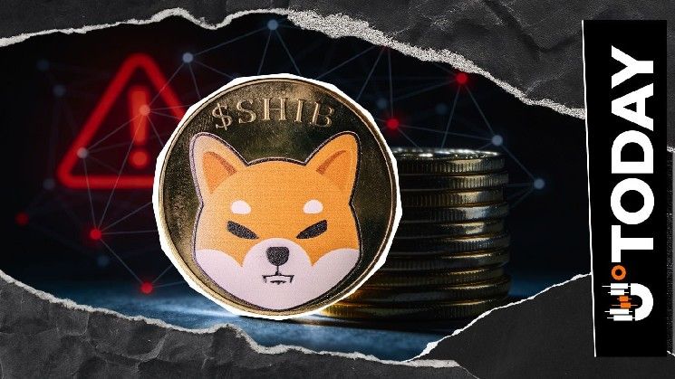 مصير شيبا إينو يتحدد: إغلاق المعروض بعد خطوة مؤسسها ريوشي