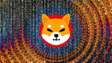 +160 مليار شيبا إينو (SHIB) خلال 24 ساعة: موجة مفاجئة من الضغط الهبوطي تهدد السوق