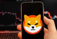 انتهى الاتجاه الصاعد لـ Shiba Inu (SHIB): السعر يهبط تحت دعم خط الاتجاه الرئيسي