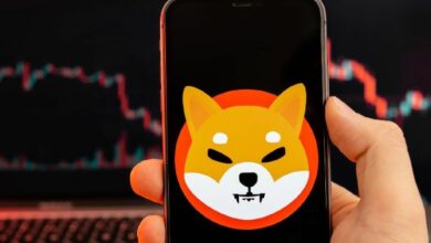 انتهى الاتجاه الصاعد لـ Shiba Inu (SHIB): السعر يهبط تحت دعم خط الاتجاه الرئيسي